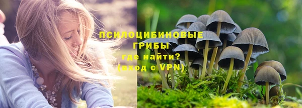 амфетамин Гвардейск