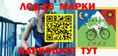 молекула духа Камышлов