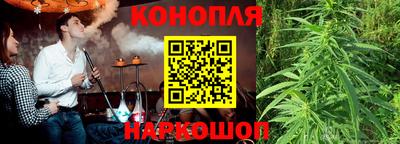 молекула духа Камышлов