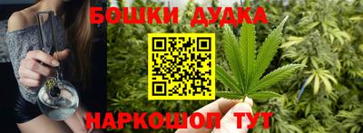 сатива Балахна