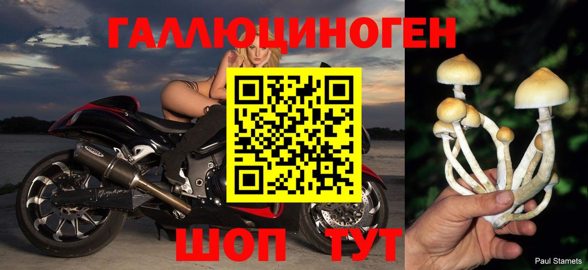 Галлюциногенные грибы Psilocybe  Вход с VPN  Стрежевой 